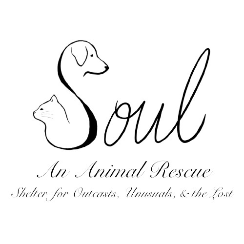 SOUL (Shelter for Outcasts, Unusuals, and the Lost An Animal Rescue)