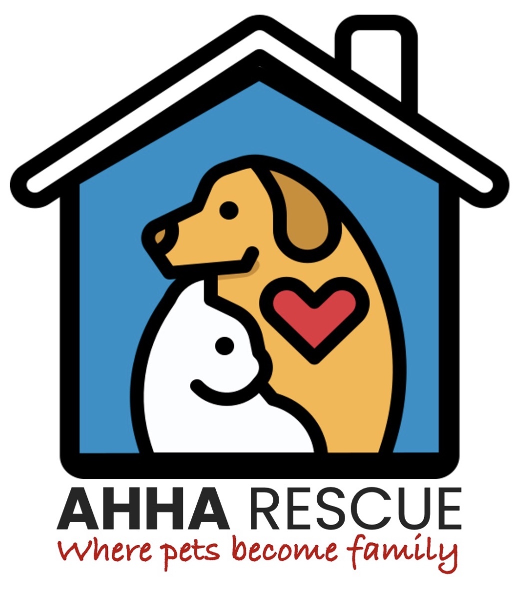 Pets for Adoption at Almost Home Haven for Animals Inc, in EAST PALATKA ...