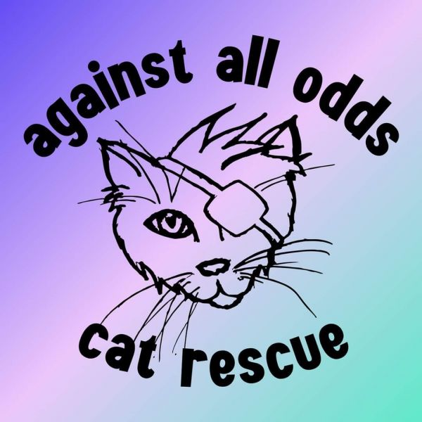 Against All Odds Cat Rescue