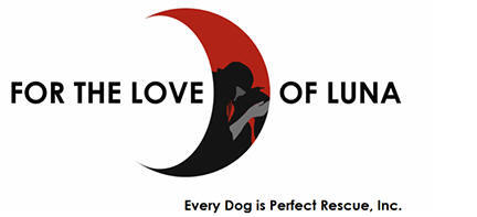 For The Love Of Luna Every Dog Is Perfect Rescue, Inc.