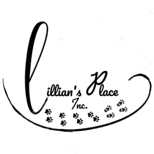 Lillian's Place Inc.