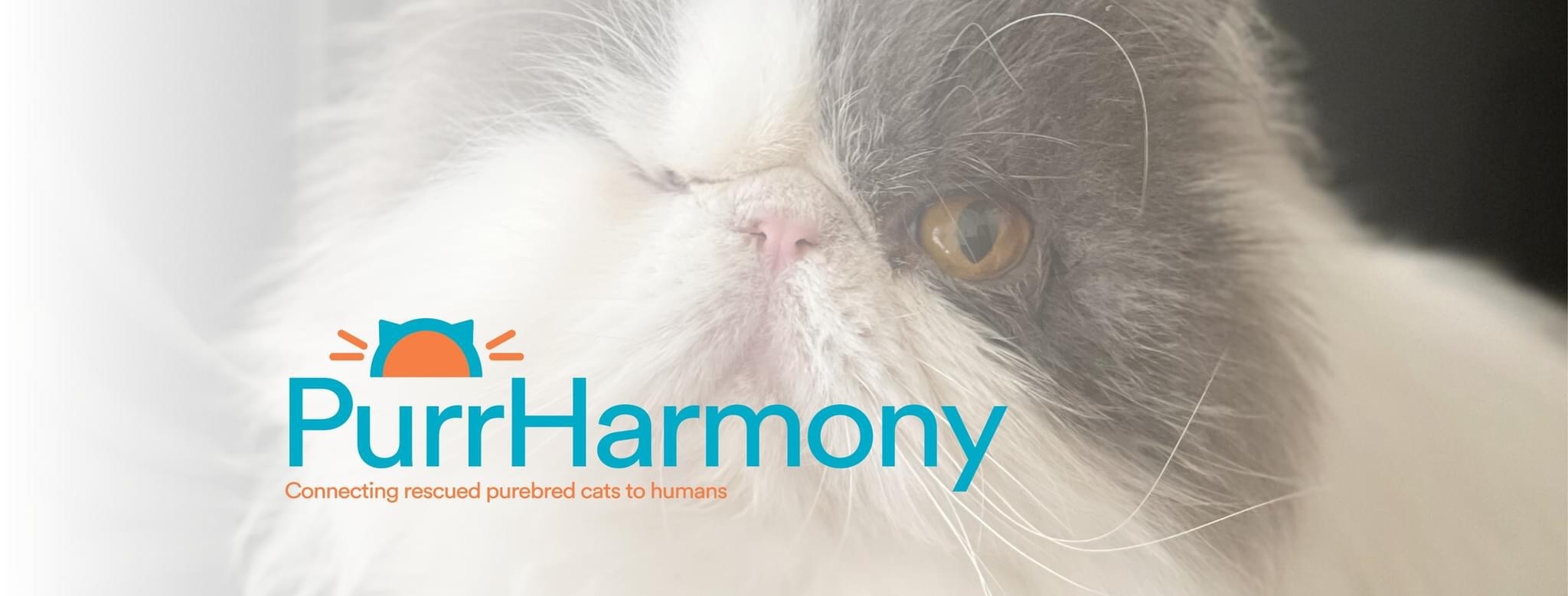 PurrHarmony Inc