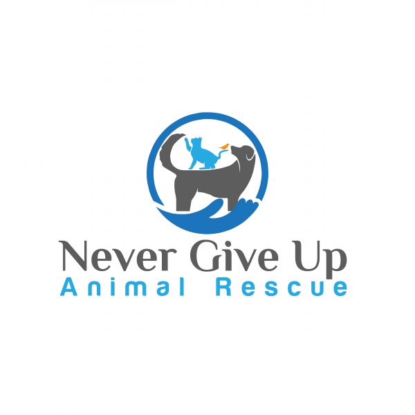 Never Give Up Animal Rescue