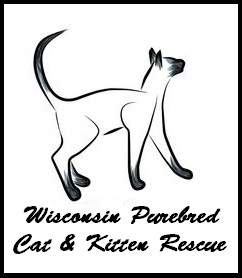 Wisconsin Purebred Cat and Kitten Rescue