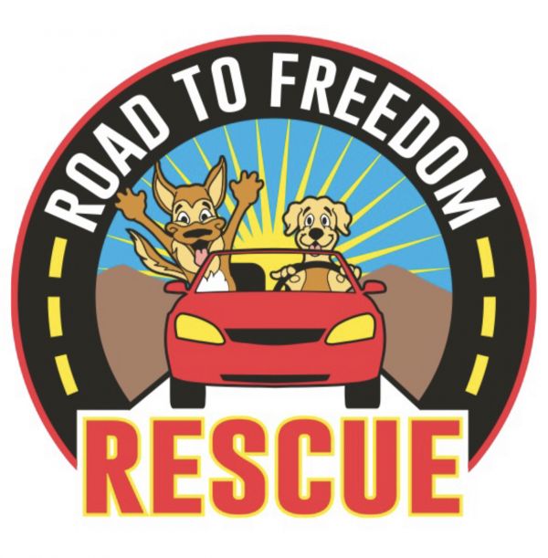 Road To Freedom Rescue