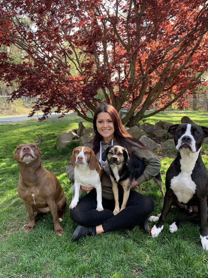 Our founder, Chantel, with her four dogs!