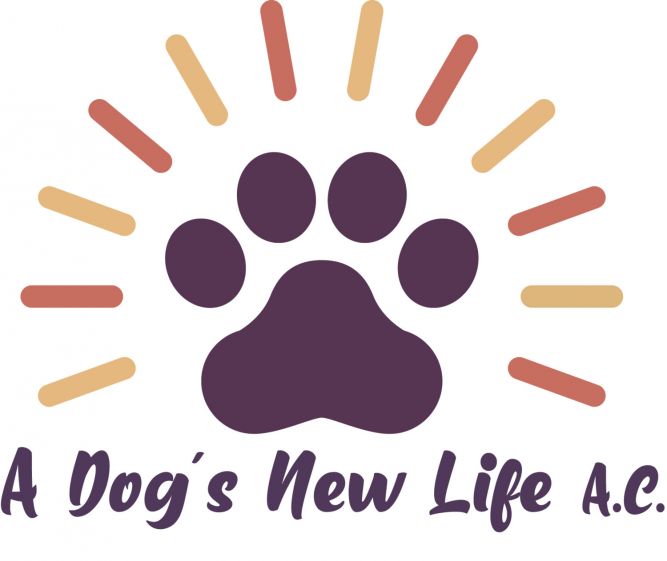 A Dogs New Life AC