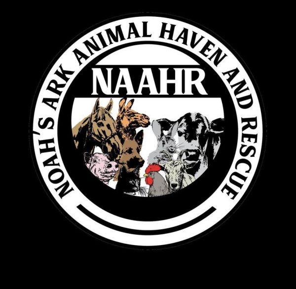 Noah's Ark Animal Haven & Rescue