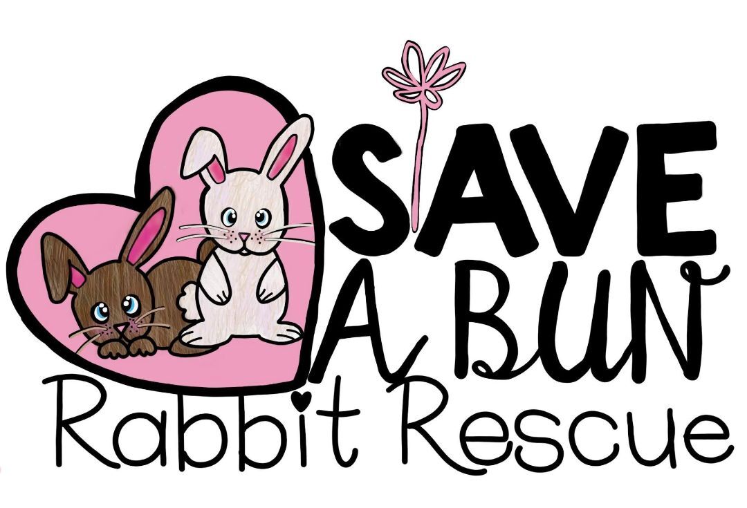 Pets for Adoption at Save a Bun Rabbit Rescue, in Nampa, ID | Petfinder