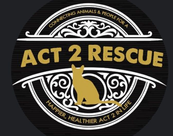 Act 2 Rescue