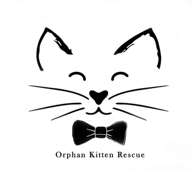 Orphan Kitten Rescue .info