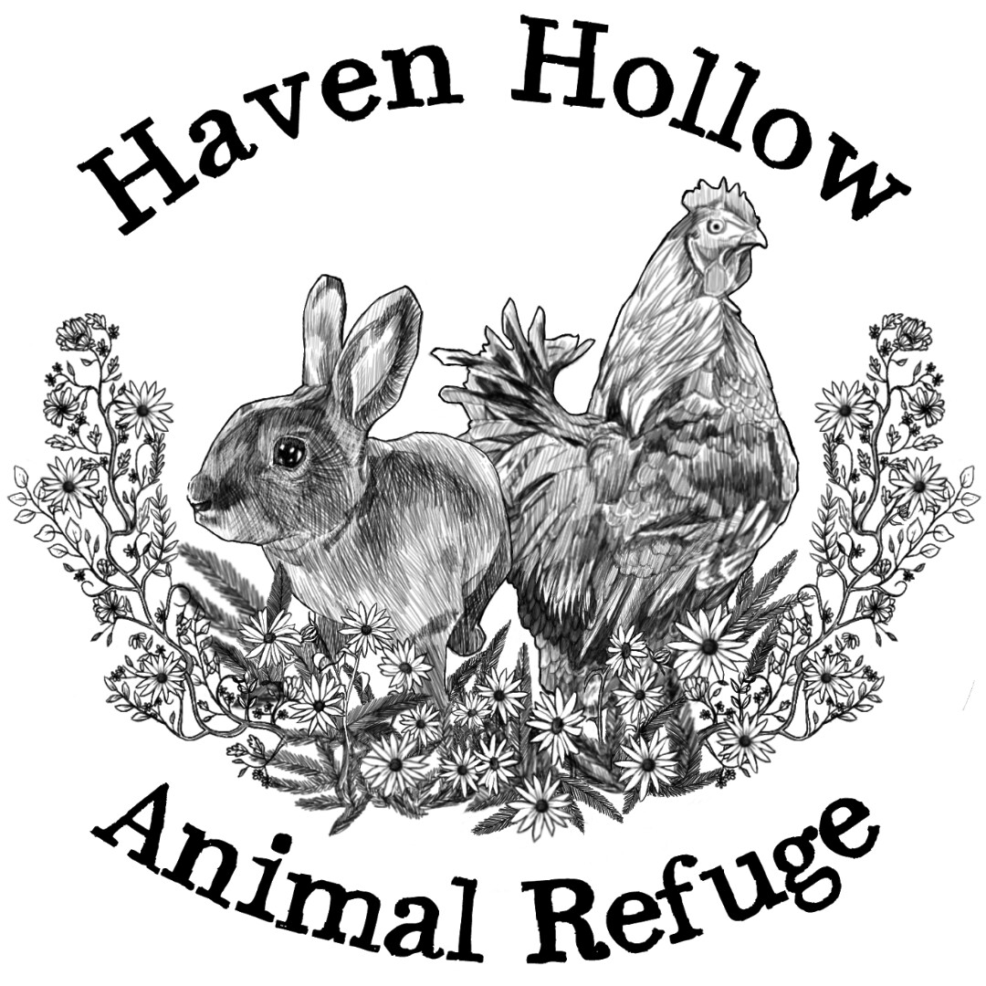 Haven Hollow Animal Refuge