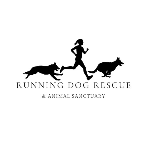 Running Dog Rescue