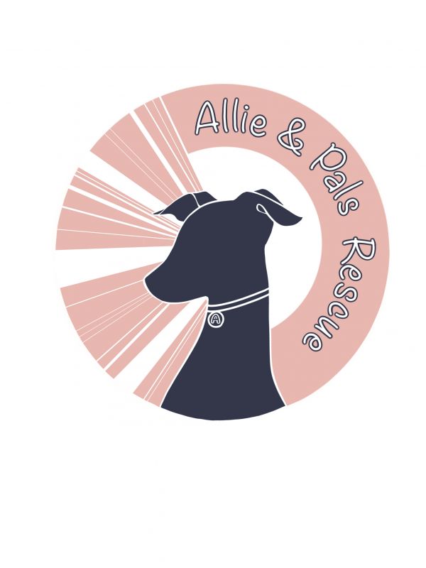 Allie and Pals Rescue