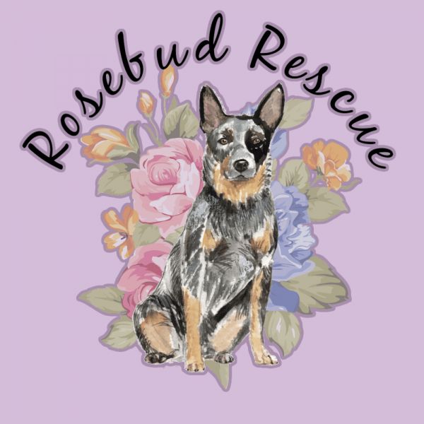 Rosebud Rescue