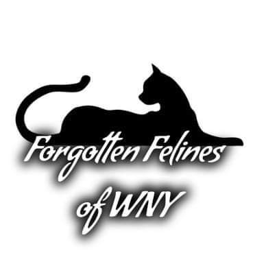 Forgotten Felines of WNY, INC.