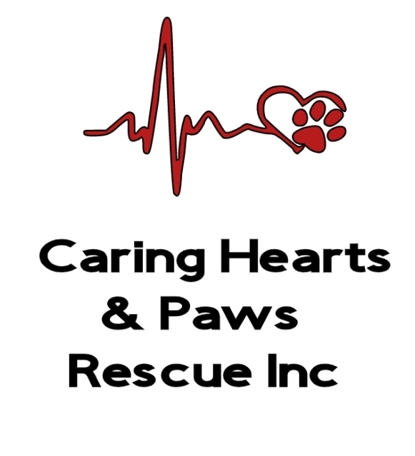 Caring Hearts and Paws Rescue Inc