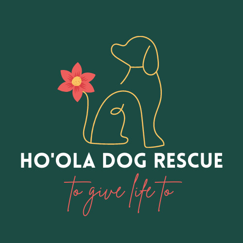 Ho'Ola Dog Rescue