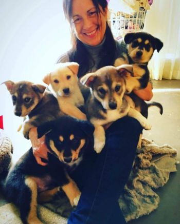 Love is an armful of husky puppies!