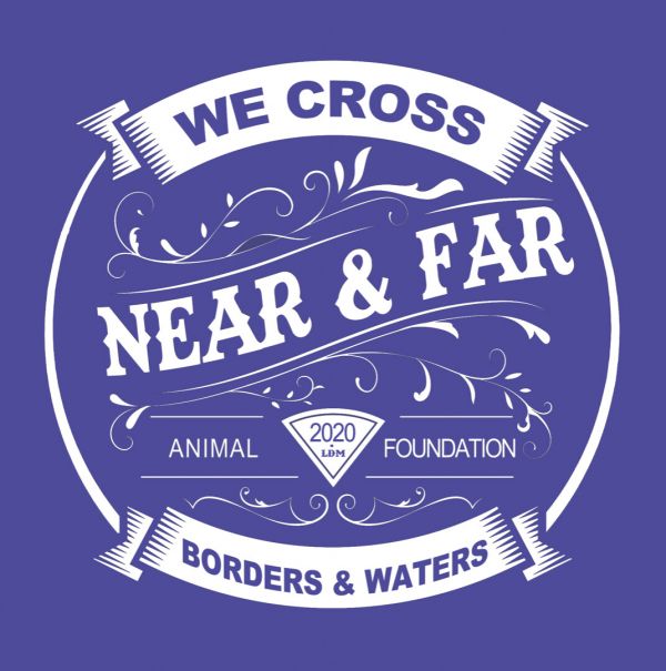Near and Far Animal Foundation