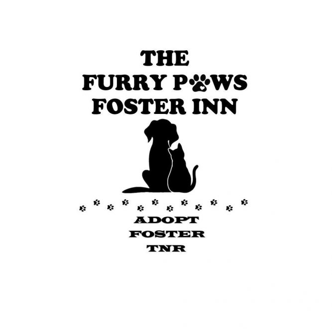 The Furry Paws Foster Inn