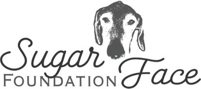 Sugar Face Foundation