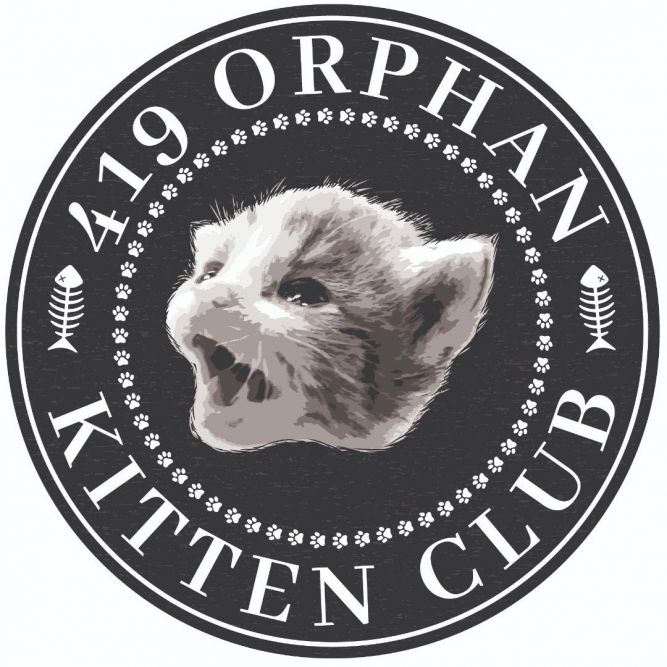 419 Orphan Kitten Club