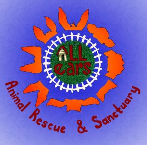 All Ears Animal Rescue and Sanctuary