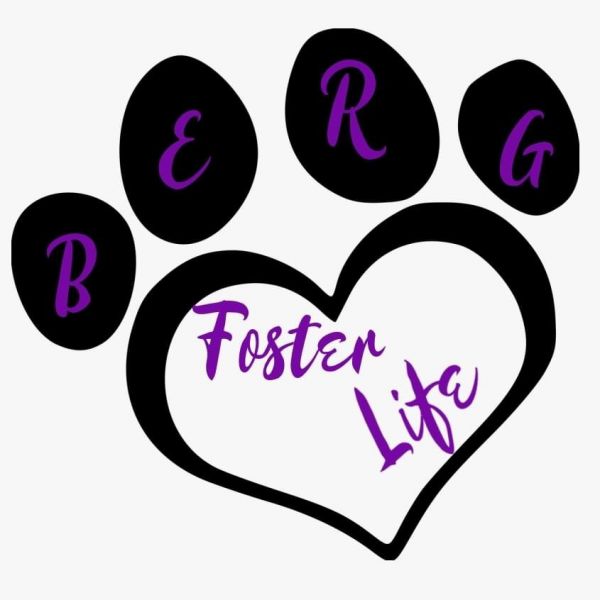 Berg Foster Life