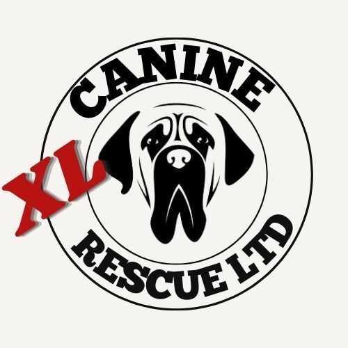 XL Canine Rescue