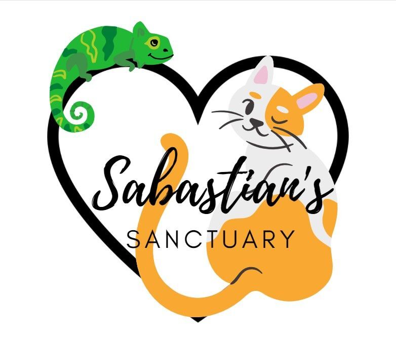 Sabastian's Sanctuary