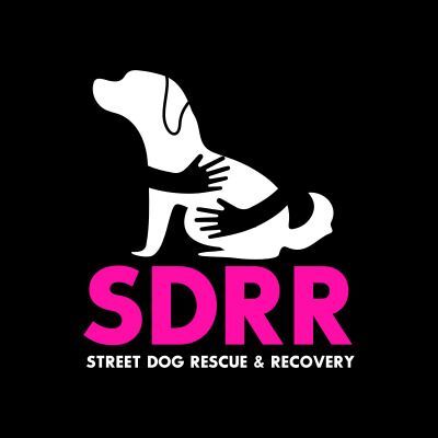 Street Dog Rescue & Recovery