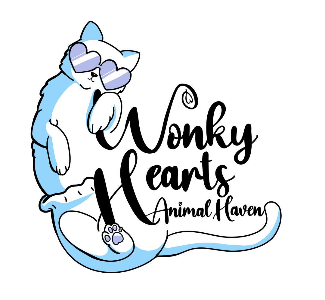 Wonky Hearts Animal Haven