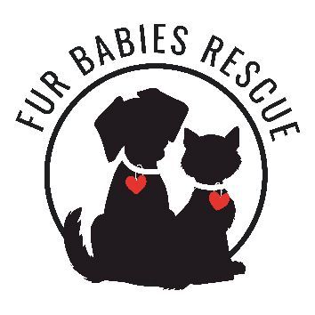 Fur Babies Rescue