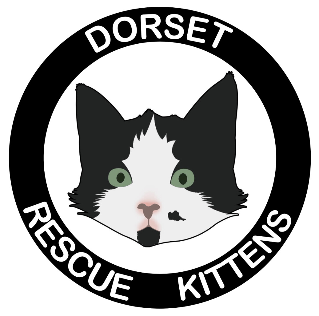 Dorset Rescue Kittens
