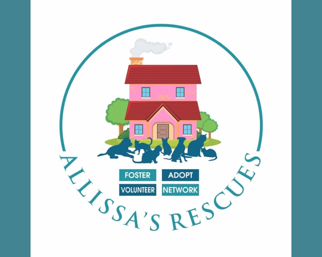 Allissa's Rescues