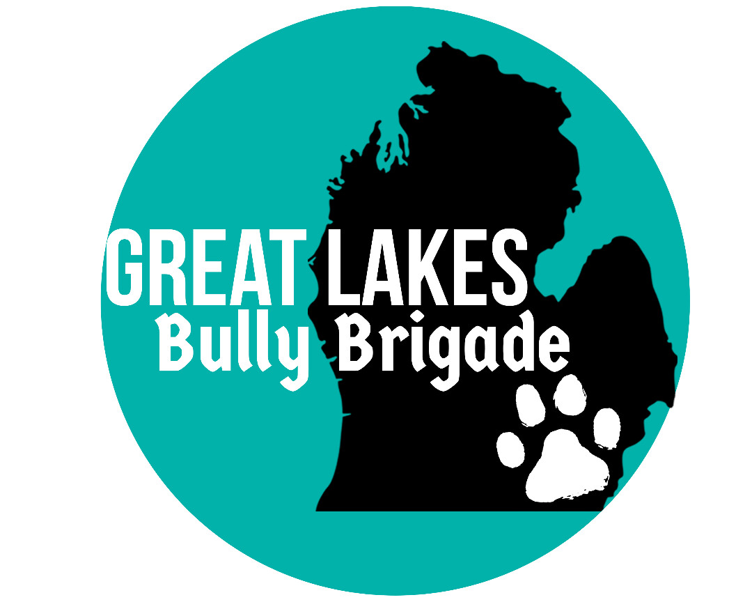 Great Lakes Bully Brigade