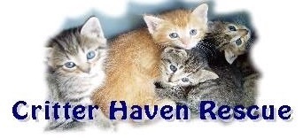 Romeow Rescue by Critter Haven Rescue Center