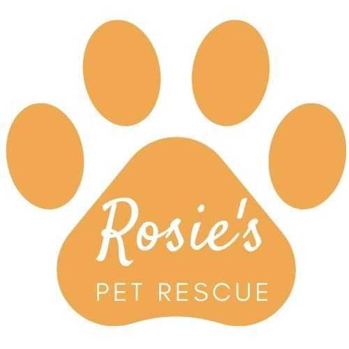 Rosie\'s Pet Rescue