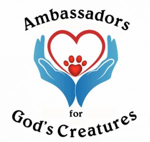 Ambassadors For Gods Creatures