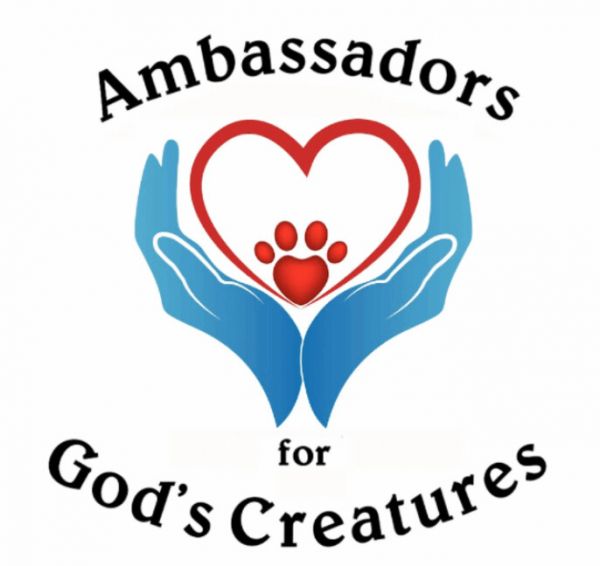 Ambassadors For Gods Creatures