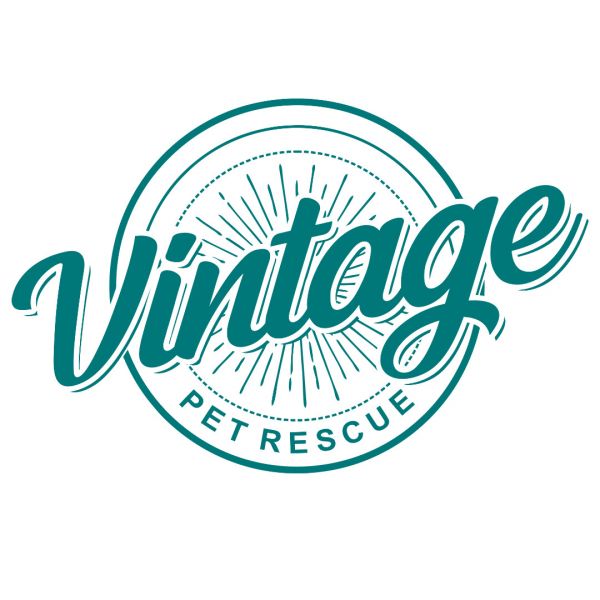 Vintage Pet Rescue