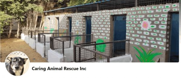 Caring Animal Rescue INC