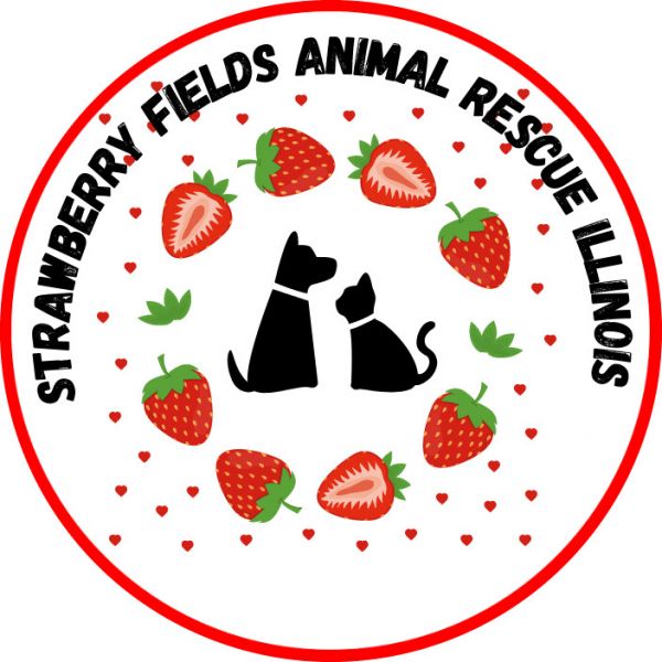 Strawberry Fields Animal Rescue Illinois