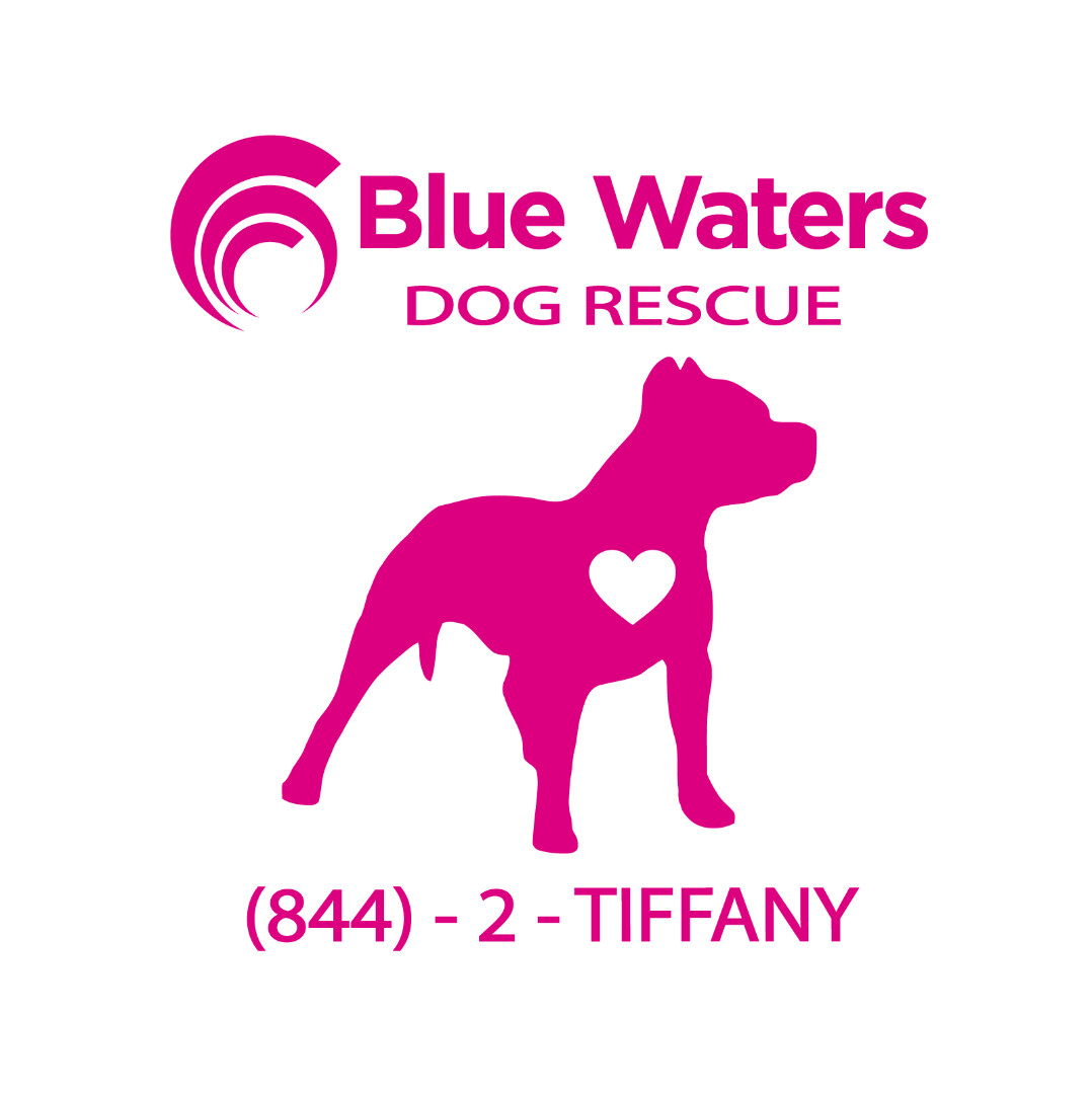 Blue Waters Dog Rescue