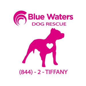 Blue Waters Dog Rescue