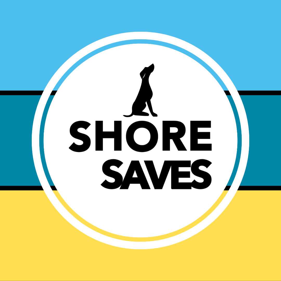 Shore Saves