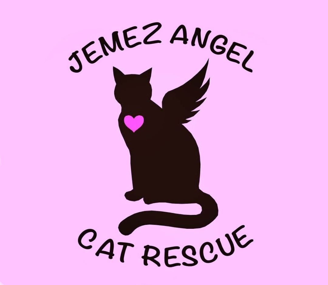 Jemez Angel Cat Rescue