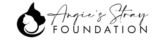 Angie's Stray Foundation