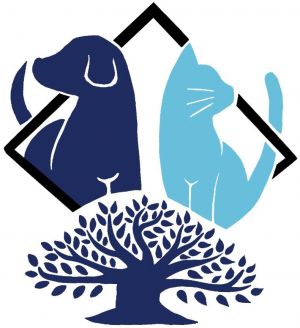 Bay Animal Hospital